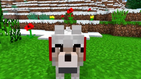 Jerry Guide: Bones, Collars and Feeding